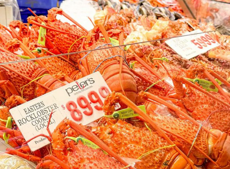 Tôm hùm Úc tươi sống được bán tại chợ cá Sydney nổi tiếng